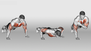 Shoulders Deltoids Push-ups